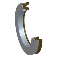 High Pressure High Temperature Springless Rotary Shaft Oil Seal with Metal Case (HP) 